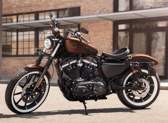 Harley Davidson Schaltraste Diamond Black - Image 3