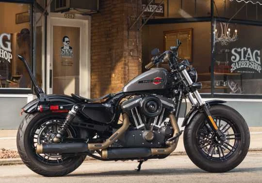 Harley Davidson Brass Fußrasten Mit Styled Verschleißstück - Image 2