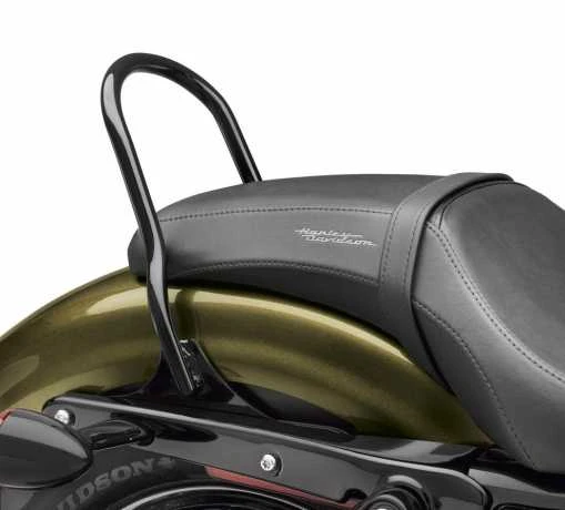 Harley Davidson Low-Profile Sissy Bar Bügel Rund Schwarz - Image 2