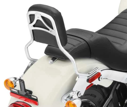 Harley Davidson HoldFast Sissy Bar Bügel Standard Chrom - Image 2