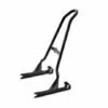Harley Davidson Einteiliger Abnehmbarer Hoher Sissy Bar Bügel Schwarz