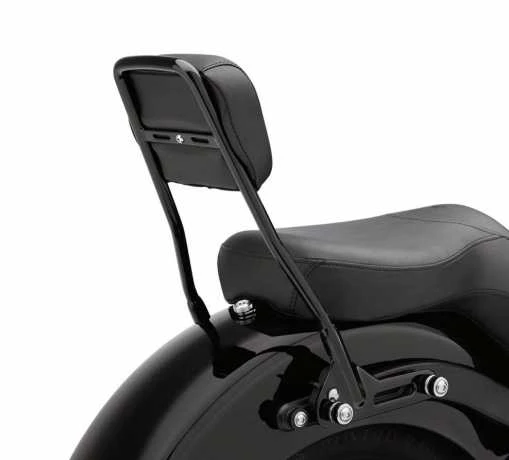 Harley Davidson Einteiliger Abnehmbarer Sissy Bar Bügel Schwarz - Image 2