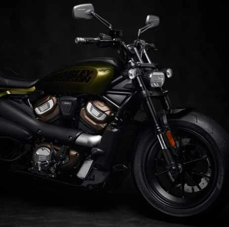 Harley Davidson Adversary Griffe Grau - Image 3
