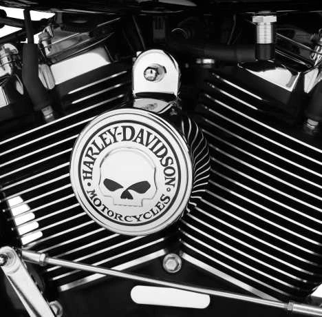 Harley Davidson Willie G. Skull Hupen Cover - Image 2