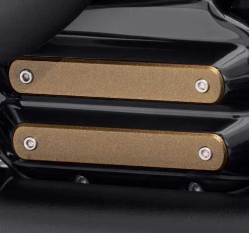 Harley Davidson Dominion Einsatz, Groß Bronze - Image 2