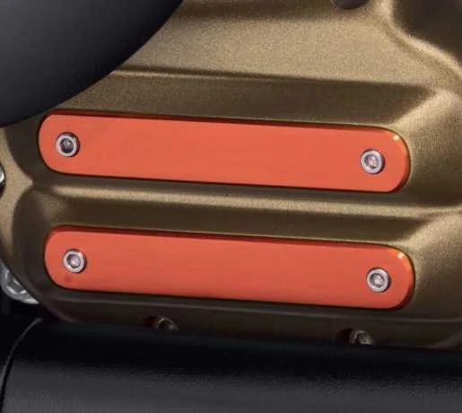 Harley Davidson Dominion Einsatz Groß, Orange Gebürstet - Image 2